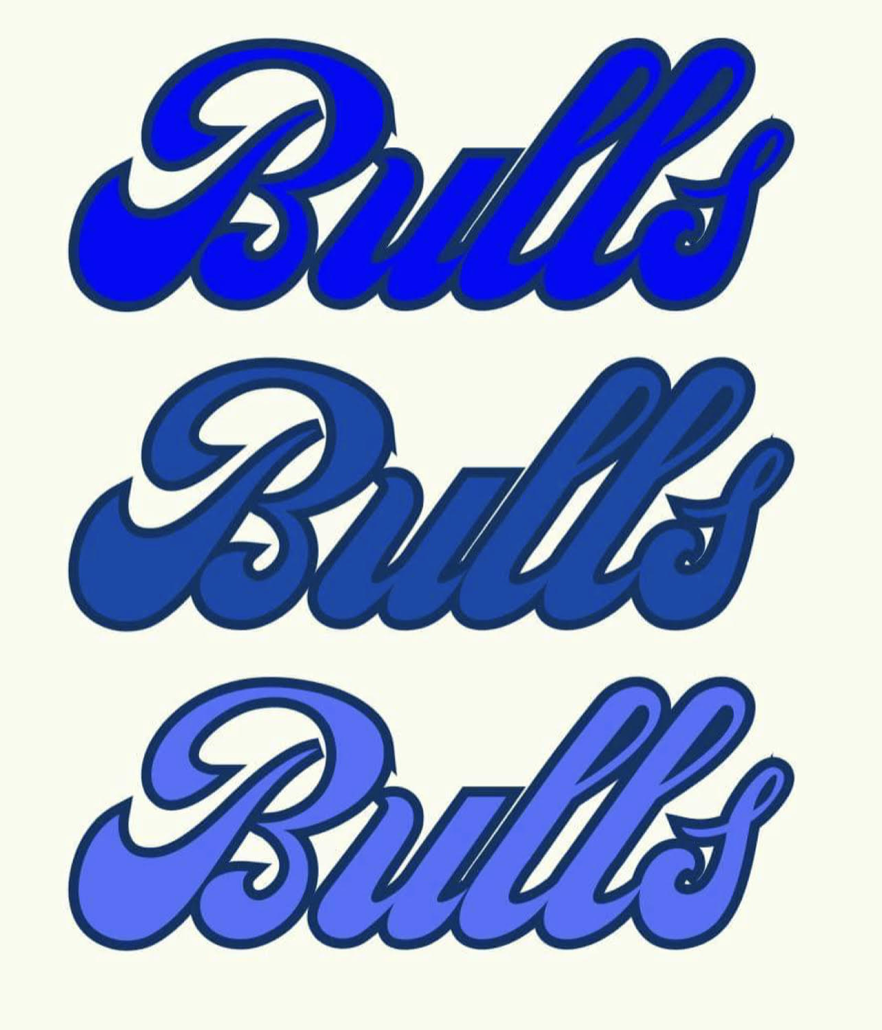 Custom Bulls Shirt